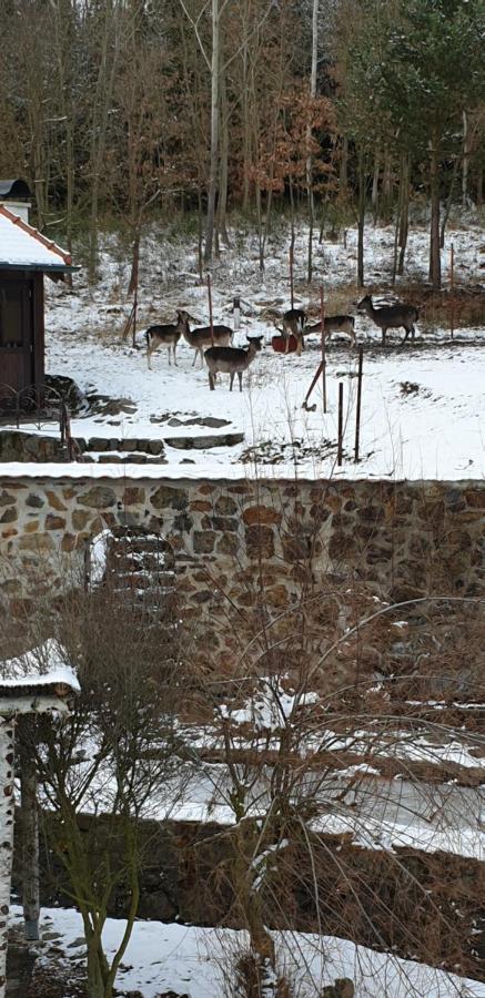 Hájovna Hněvnice Esterno foto
